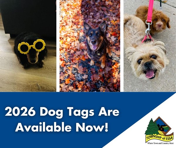 2026 Dog Tags are available now